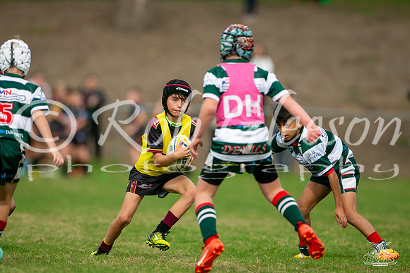 U10(2) R5 v Greystanes_18