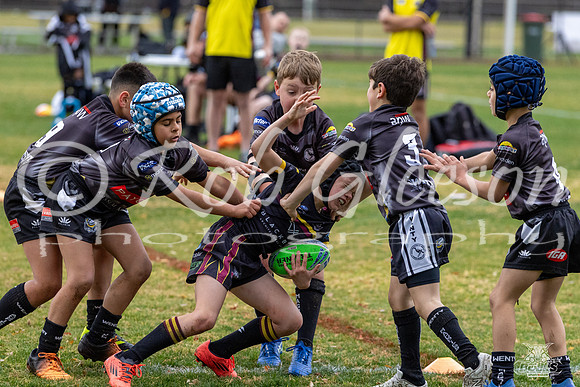U8(1) R13 v Wenty_21