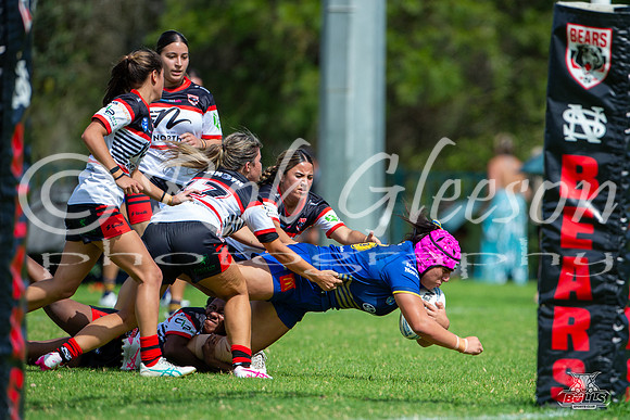 LFC - R2 - Bears v Eels_20