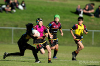U12(2) - Isuzu Ute