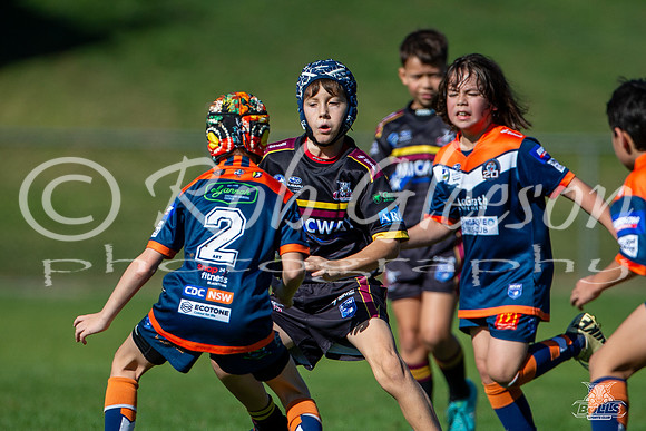 U10(1) R4 v Tigers_21