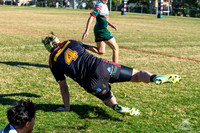 U19(2) R12 v Greystanes_16