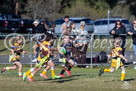 U6(3) R10 v Tigers_4