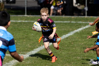 U6(1) R2 v Cabramatta_9