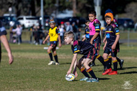 U9(3) R10 v Kellyville_3