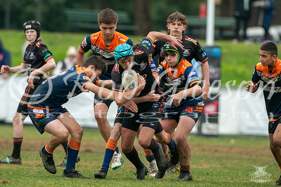 U14(3) R12 v Tigers_7