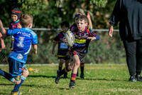 U7(2) R8 - Vs Cabramatta_006