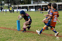 U7(3) R7 v AST Tigers_16
