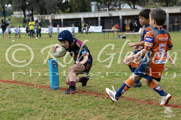 U7(3) R7 v AST Tigers_16
