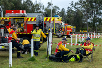 RFS - NB District Exercise - 2024_12