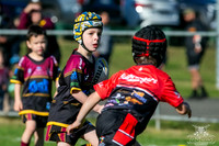 U6(1) R13 - v Kellyville_018