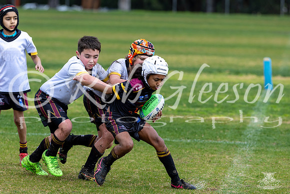 U8(2) R15 v U8(1)_63