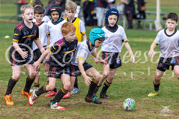 U8(2) R15 v U8(1)_53