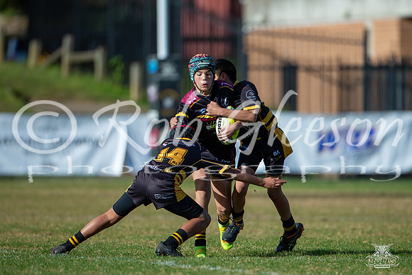U11(1) R8 v Mounties_23