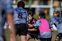 U12(1) R9 V Rouse Hill_21