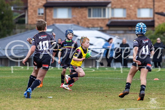 U8(1) R13 v Wenty_3