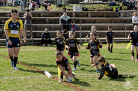 Gala Day U6 - 2024