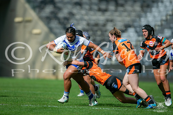 LFC - GF - Bulldogs v West Tigers_9