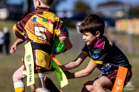 U6(3) R10 v Tigers_17