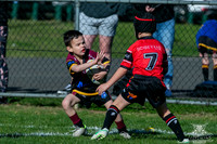 U6(1) R13 - v Kellyville_016