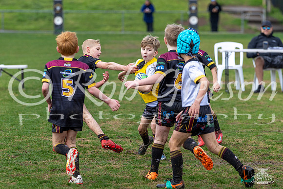 U8(2) R15 v U8(1)_58