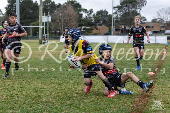 U8(1) R13 v Wenty_19