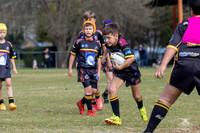 U9(2) R10 v Mounties_11