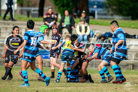U11(1) R9 v Cabramatta_15