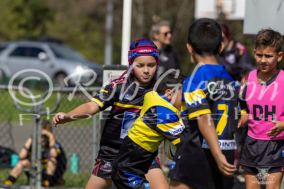 U9(2) R2 v Maulers_5