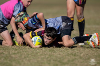 U12(1) R9 V Rouse Hill_13