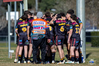 U19(2) R12 v Greystanes_1