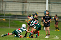 U10(2) R5 v Greystanes_12