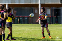 U8(3) R2 v Wenty_3