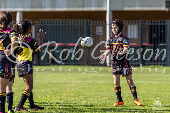 U8(3) R2 v Wenty_3