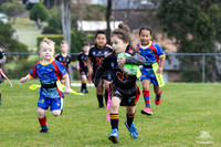 U6(4) - R5 v Cobras_7