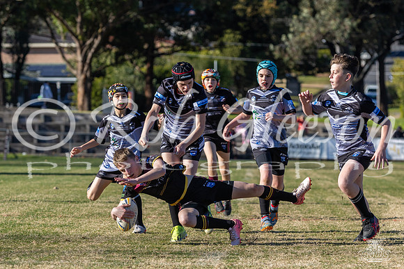 U12(2) R11 v Rouse Hill_4