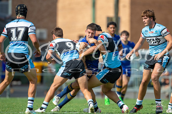 HMC - R3 - Eels v Sharks_17
