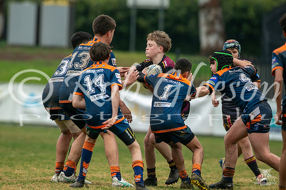 U14(3) R12 v Tigers_8