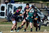U19(2) R12 v Greystanes_5