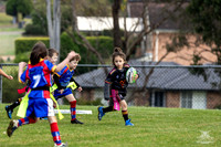 U6(4) - R5 v Cobras_12