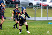 U7(3) R7 v AST Tigers_6