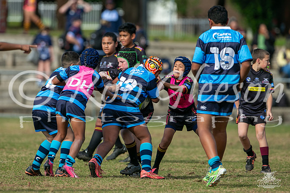 U11(1) R9 v Cabramatta_1