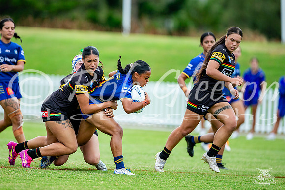 LFC - R6 - Eels v Panthers_20