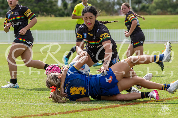 LFC - R6 - Eels v Panthers_48