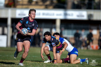 RMC R12 - Hills v Bulldogs_5