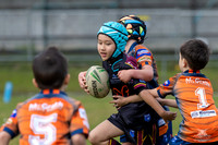 U7(3) R7 v AST Tigers_12