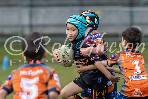 U7(3) R7 v AST Tigers_12