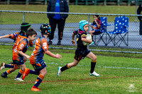 U7(3) R7 v AST Tigers_14