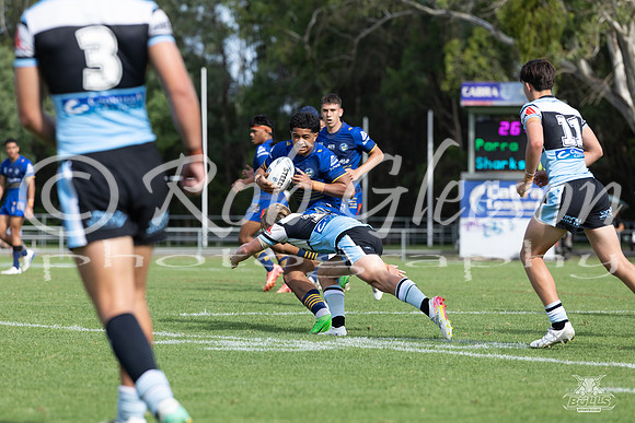 HMC - R3 - Eels v Sharks_20