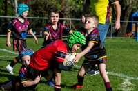 U6(1) R13 - v Kellyville_027